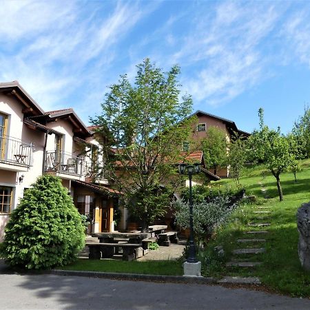 Pension Na Meji Pivka Exterior photo