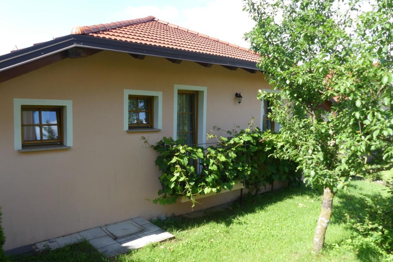 Pension Na Meji Pivka Exterior photo